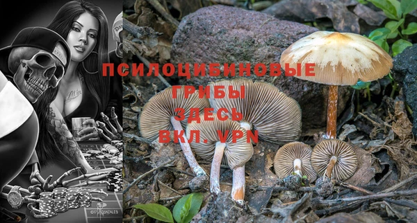 амф Алексеевка