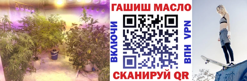 продажа наркотиков  Железногорск  Дистиллят ТГК концентрат 