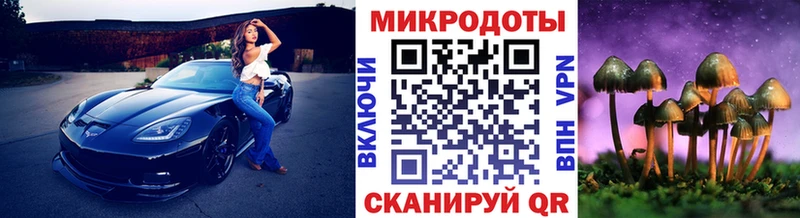 Псилоцибиновые грибы мицелий  Железногорск 